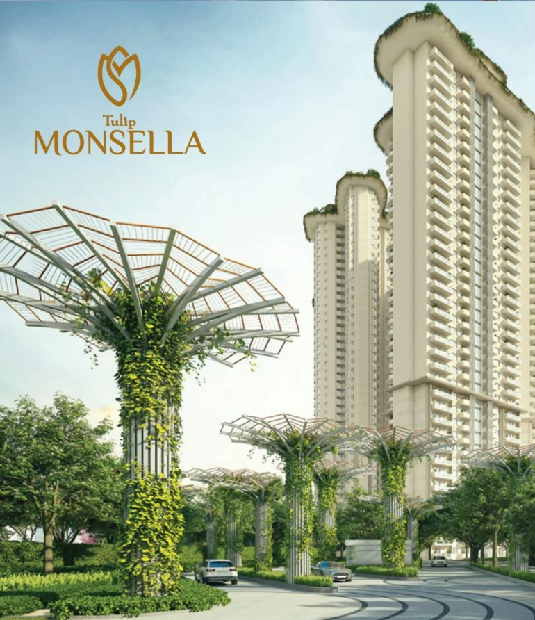 Tulip Monsella