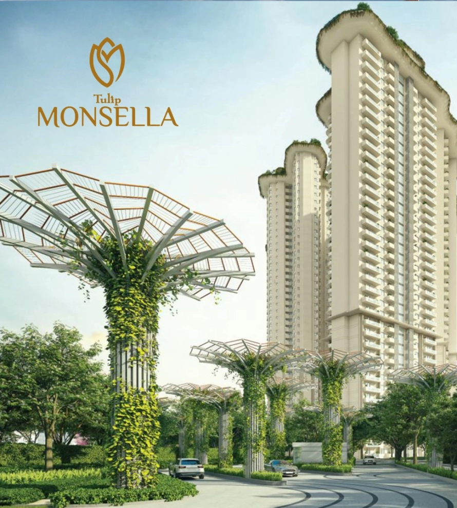 Tulip Monsella